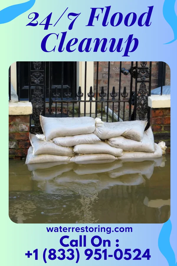 24/7 Flood Cleanup in DeLisle, MS