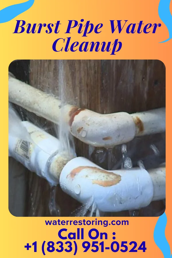 Burst Pipe Water Cleanup in DeLisle, MS