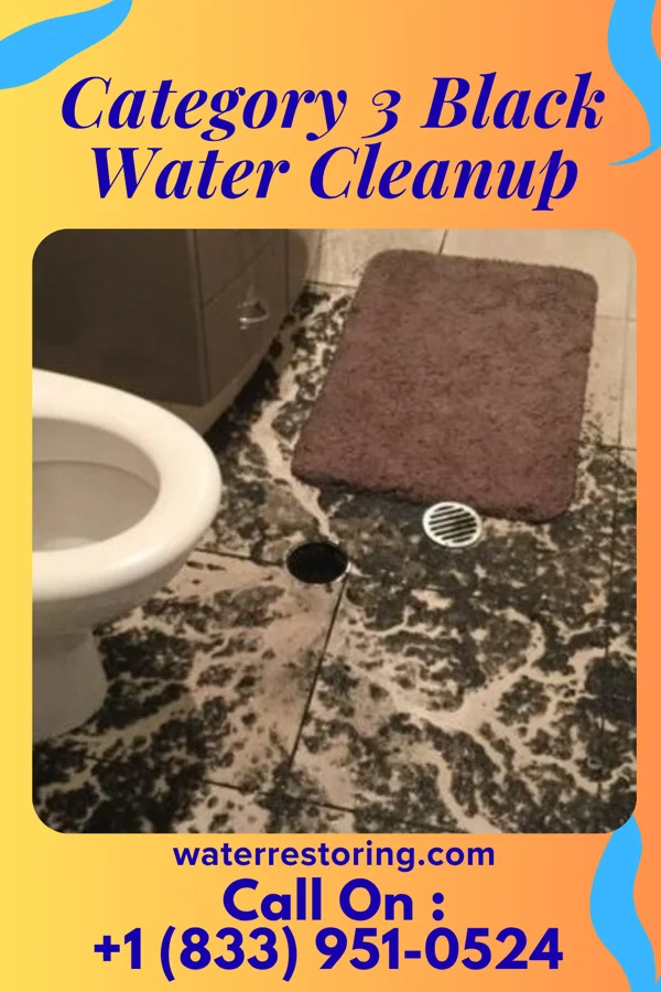 Category 3 Black Water Cleanup in DeLisle, MS