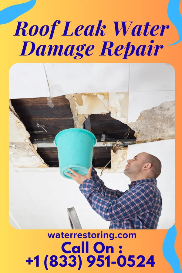 Roof Leak Water Damage Repair in DeLisle, MS