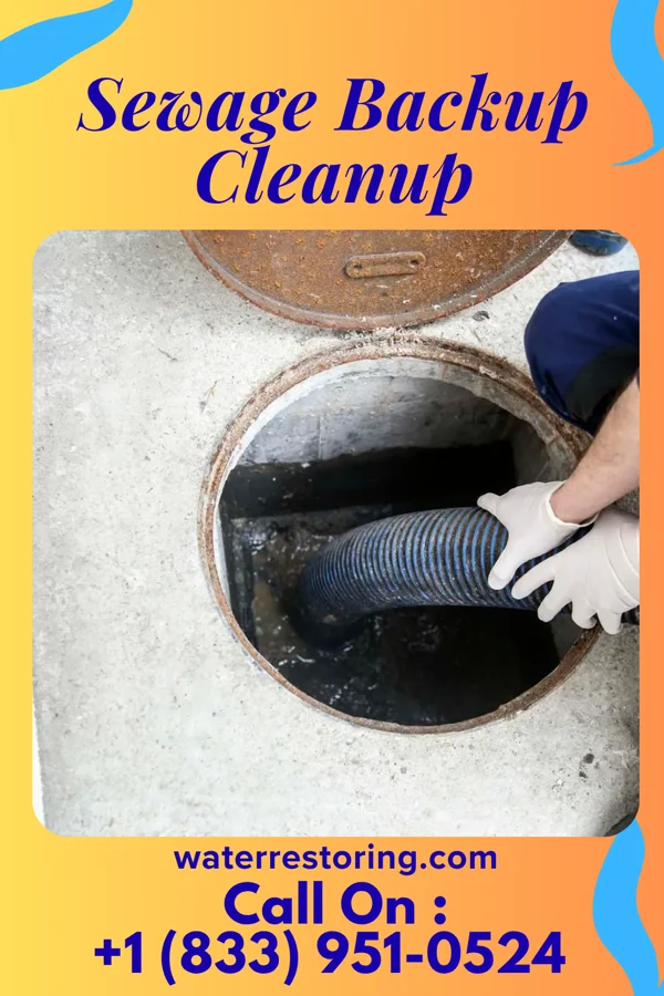Sewage Backup Cleanup in DeLisle, MS