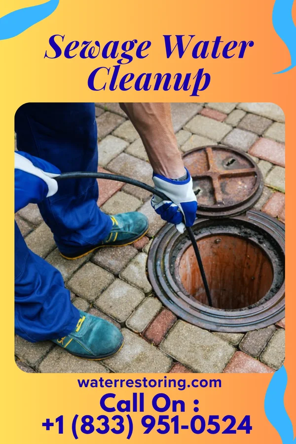 Sewage Water Cleanup in DeLisle, MS