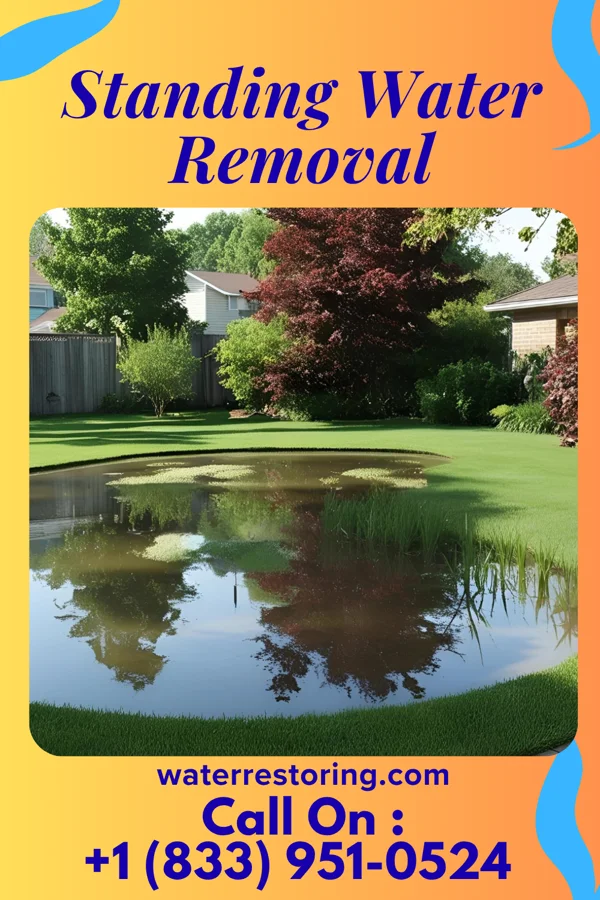 Standing Water Removal in DeLisle, MS